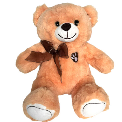 Teddy Classic
