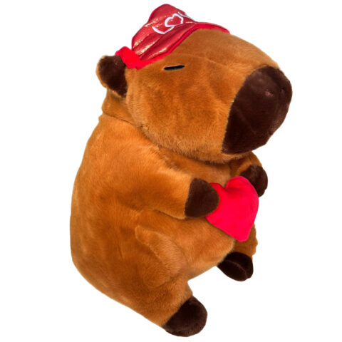 Capibara Sleepy